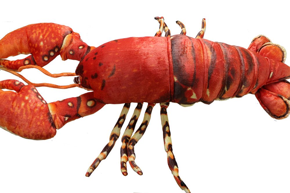 lobster cuddly toy